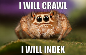 the spider will crawl